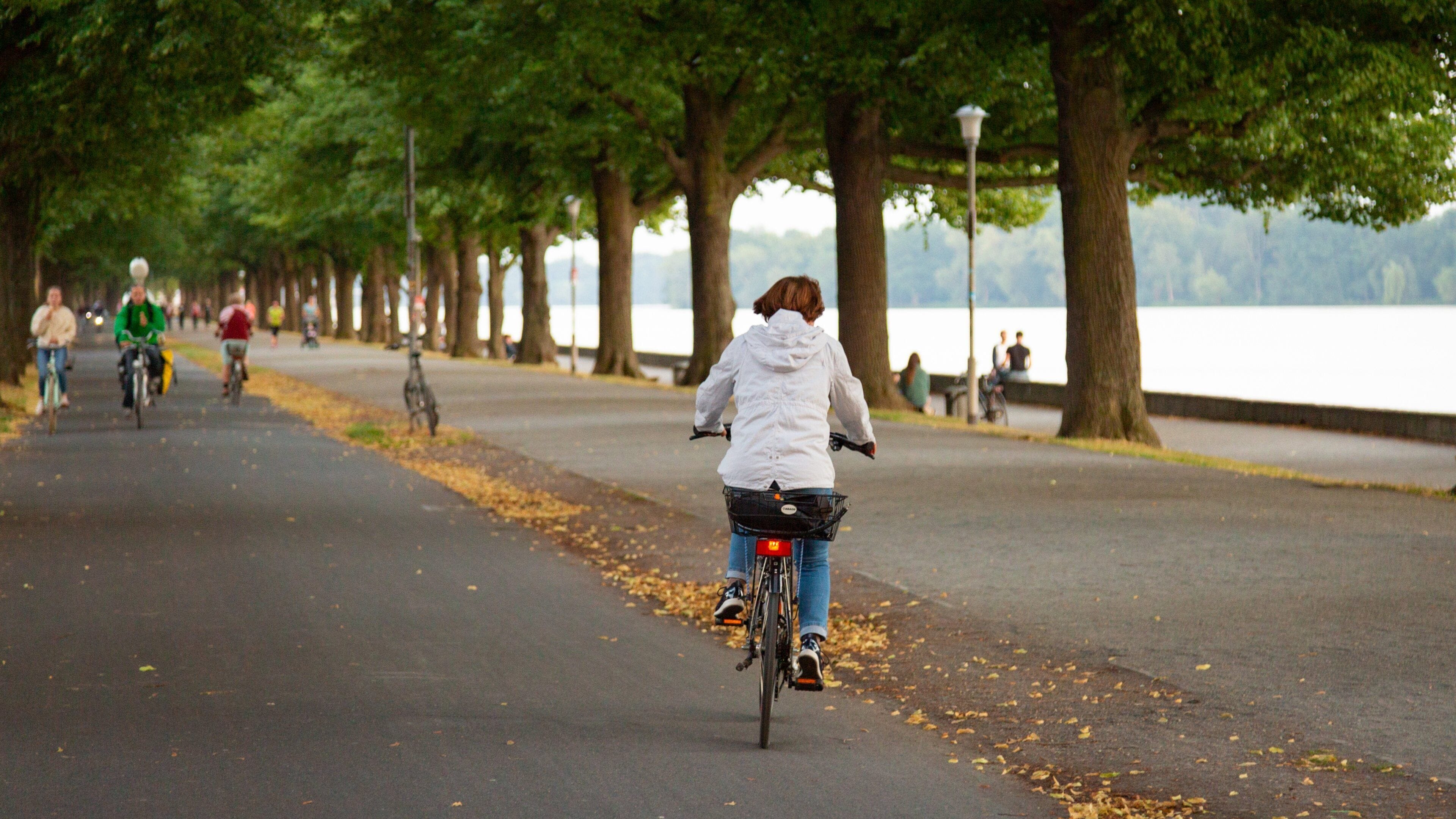 Eine Person fährt Rad auf einem von Bäumen gesäumten Weg entlang eines Gewässers.