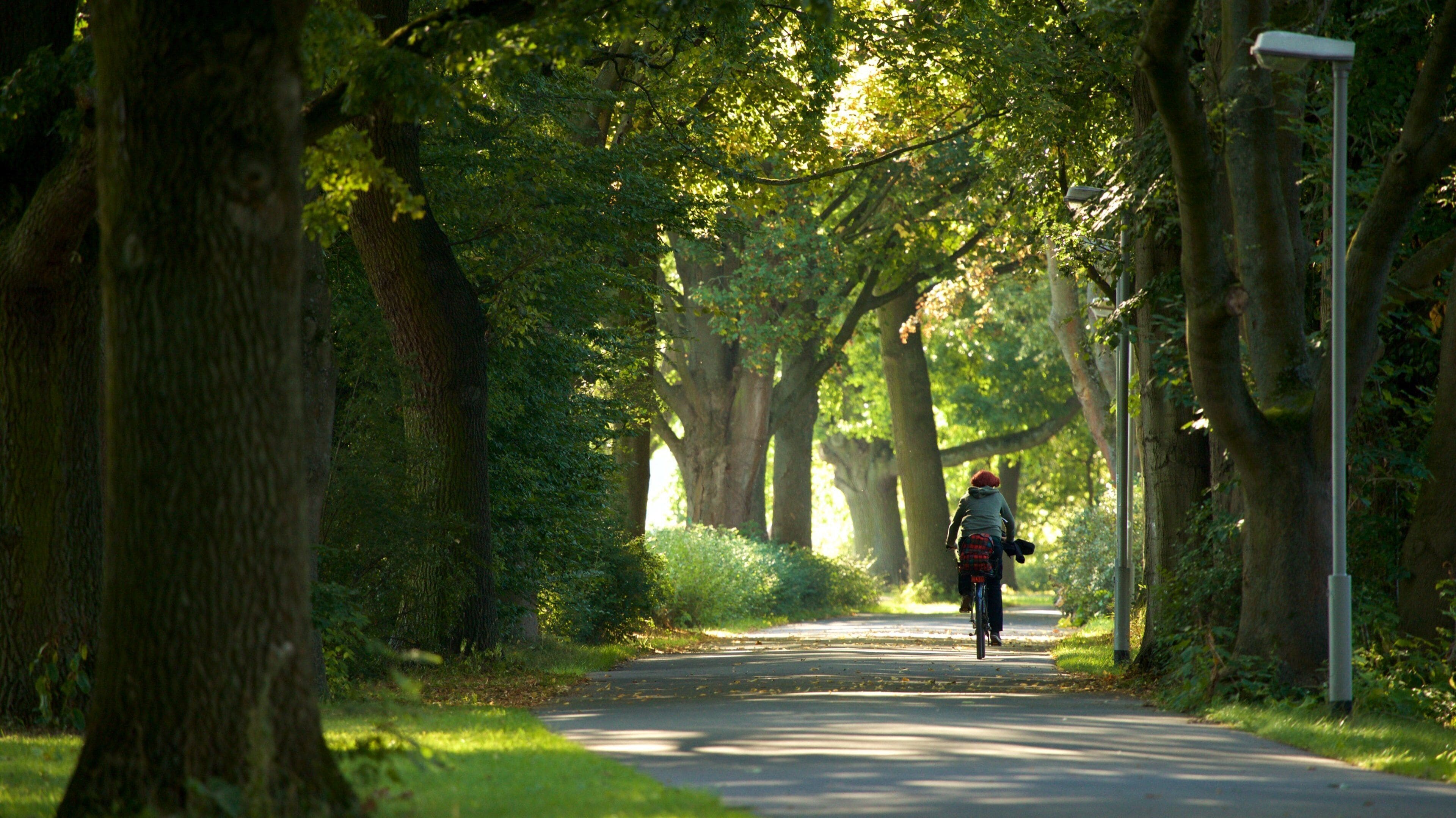 Maschsee which includes cycling and a park