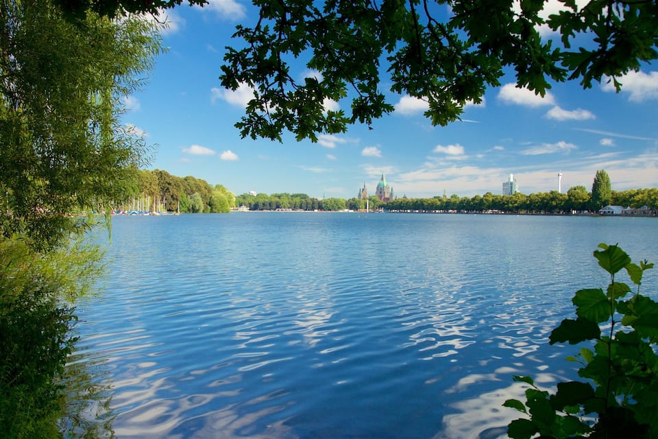 Um lago tranquilo com céu claro, rodeado por árvores e edifícios ao longe.