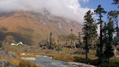 Place where i would love to chill in every summerđ