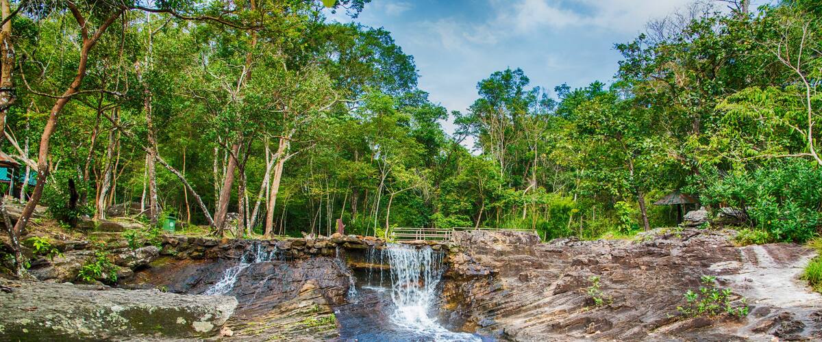 A waterfall in a forested area with a wooden bridge.
