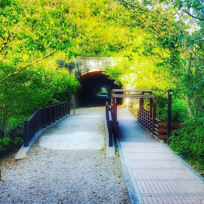 崎頂子母隧道