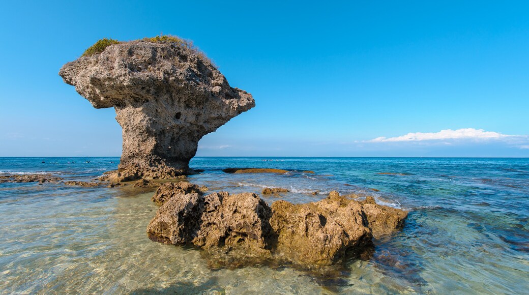 Flower Vase Coral Rock at Lamay island in Taiwan