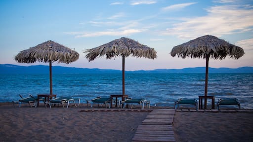 End of season on Lesbos