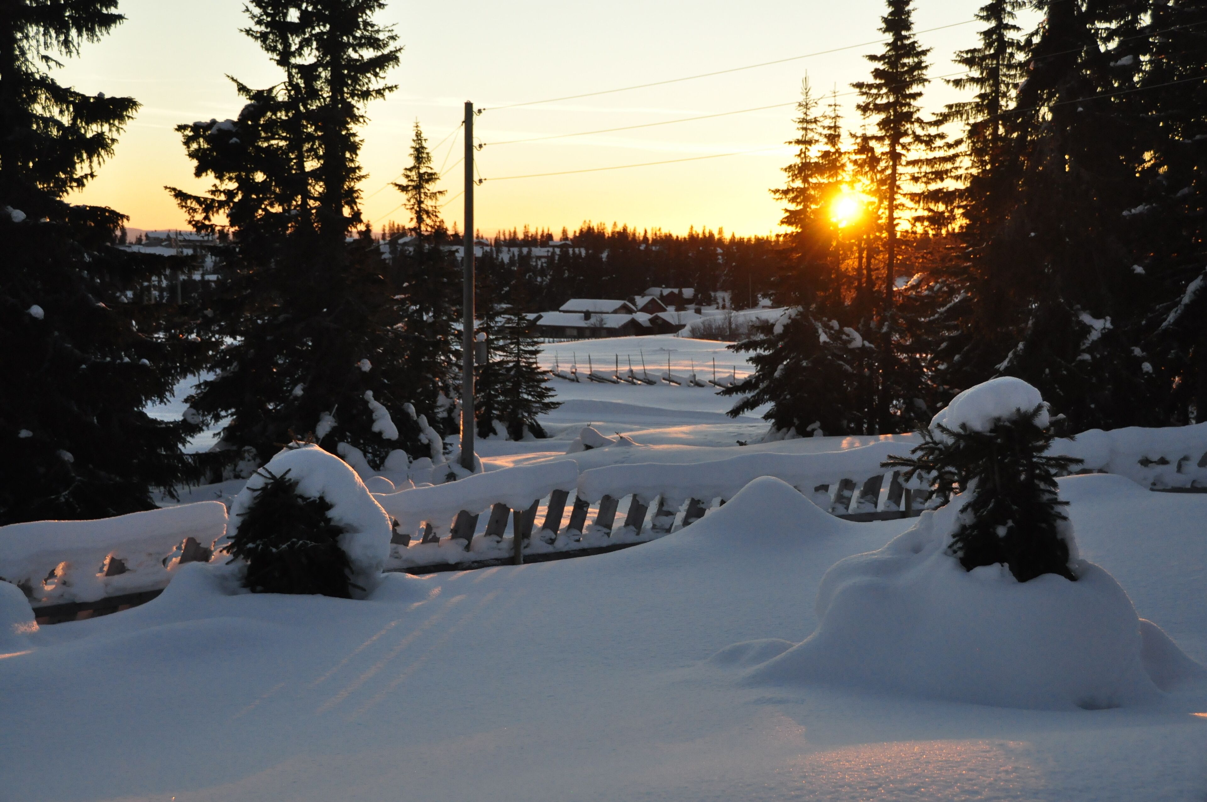 Winter at Sjusjøen Norway