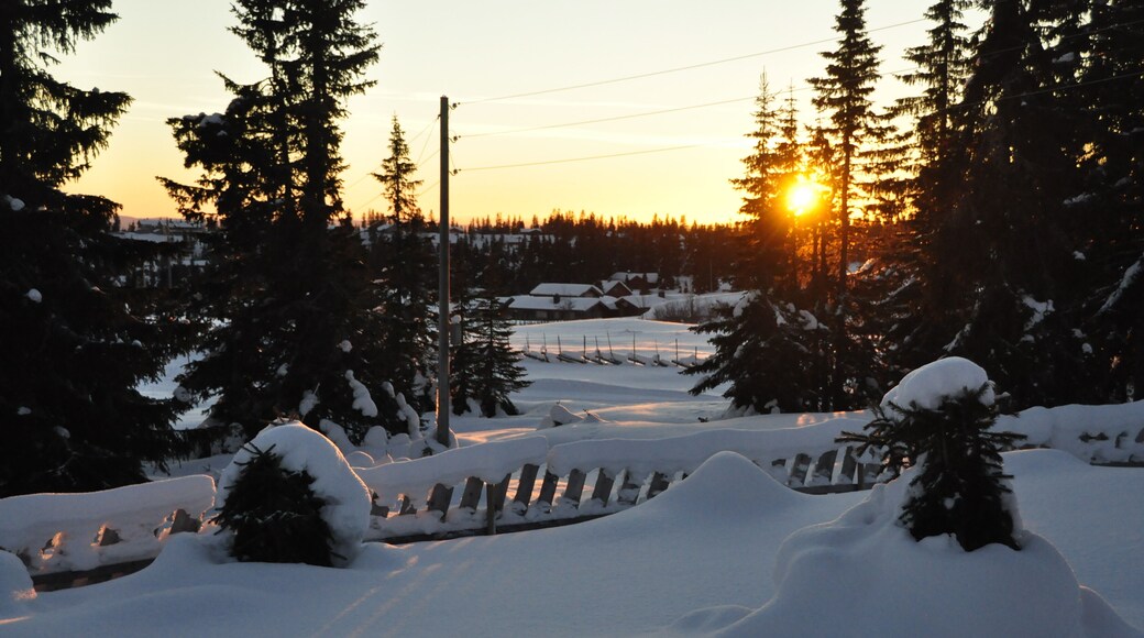 Winter at Sjusjøen Norway