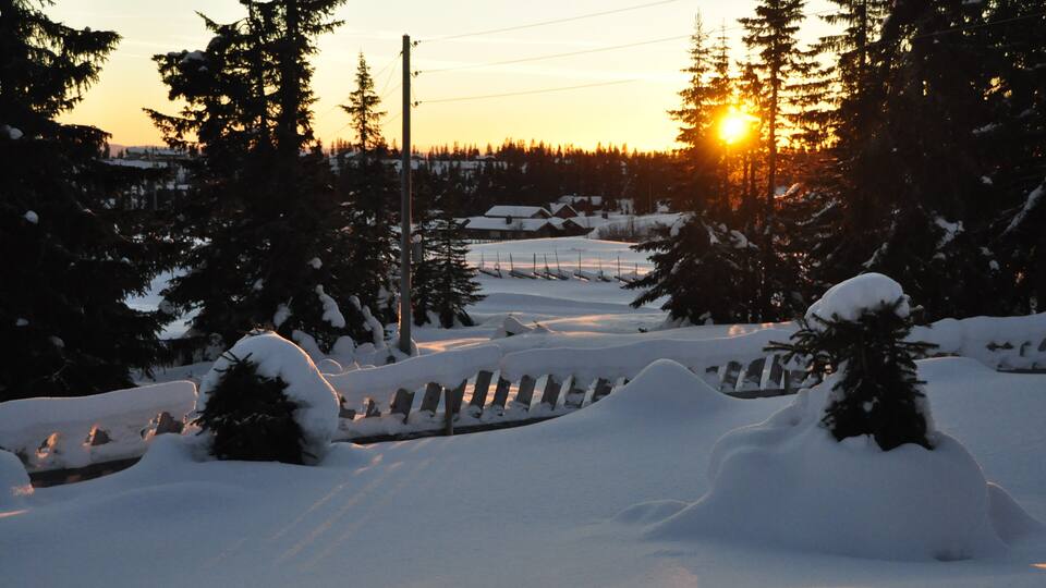 A snowy landscape with a wooden fence, snow-covered trees, and a sunset in the background.