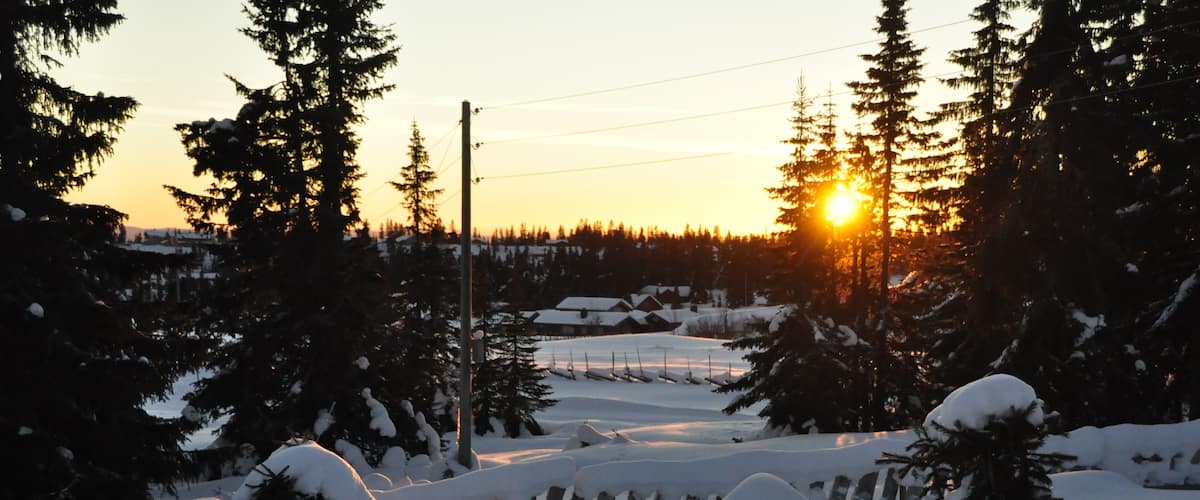 A snowy landscape with a wooden fence, snow-covered trees, and a sunset in the background.