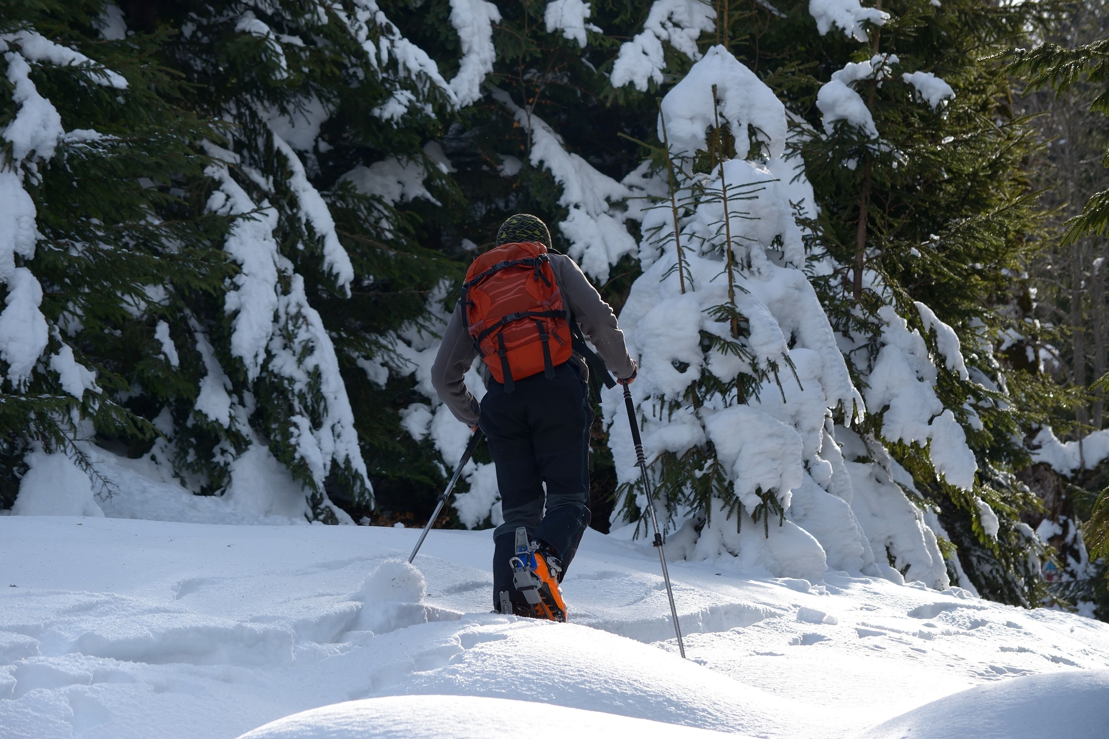 Ski-touring in mountains