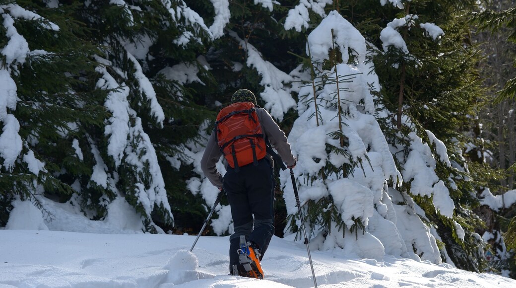 Ski-touring in mountains