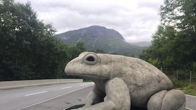 I found a Frog 🐸 statue on my way from Volda to loen.