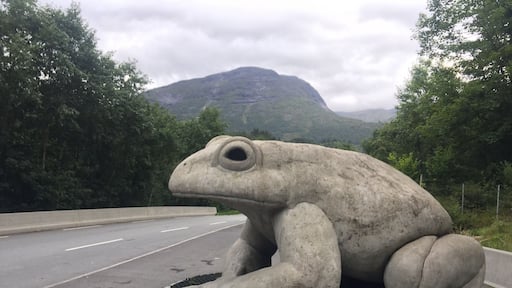 I found a Frog 🐸 statue on my way from Volda to loen.