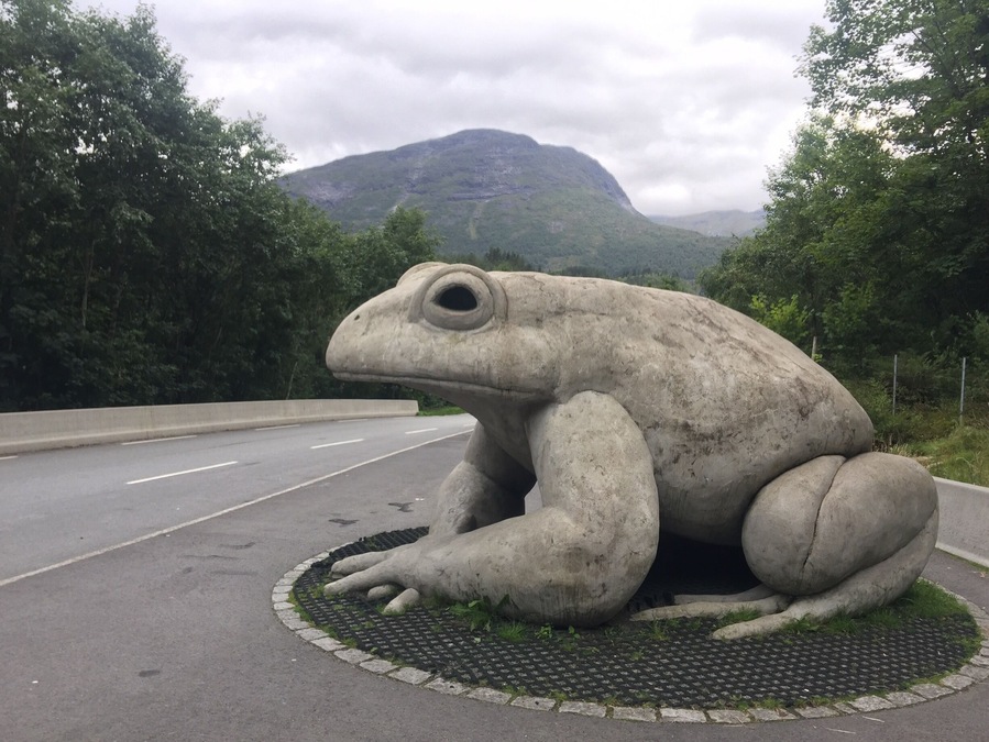 I found a Frog 🐸 statue on my way from Volda to loen.