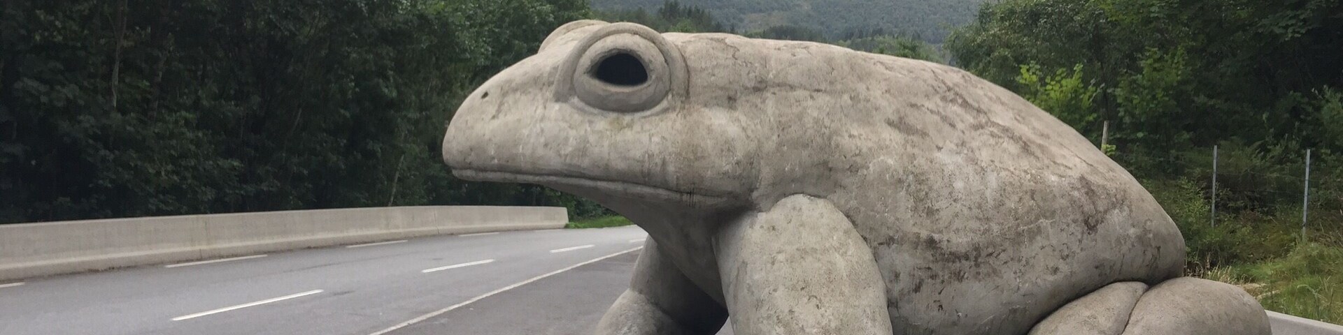 I found a Frog ๐ธ statue on my way from Volda to loen.