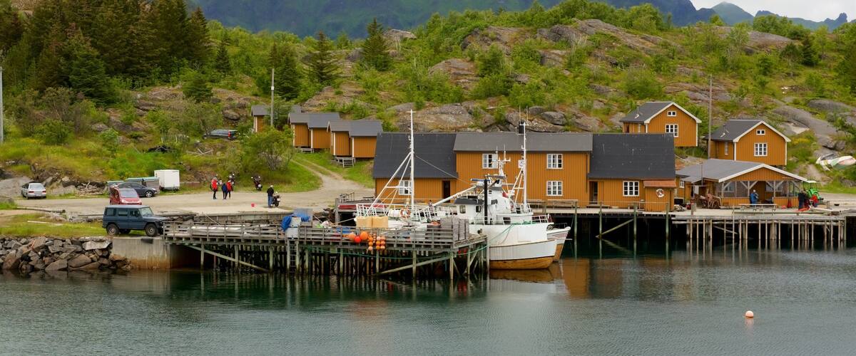 Stamsund showing tranquil scenes, a small town or village and a bay or harbor