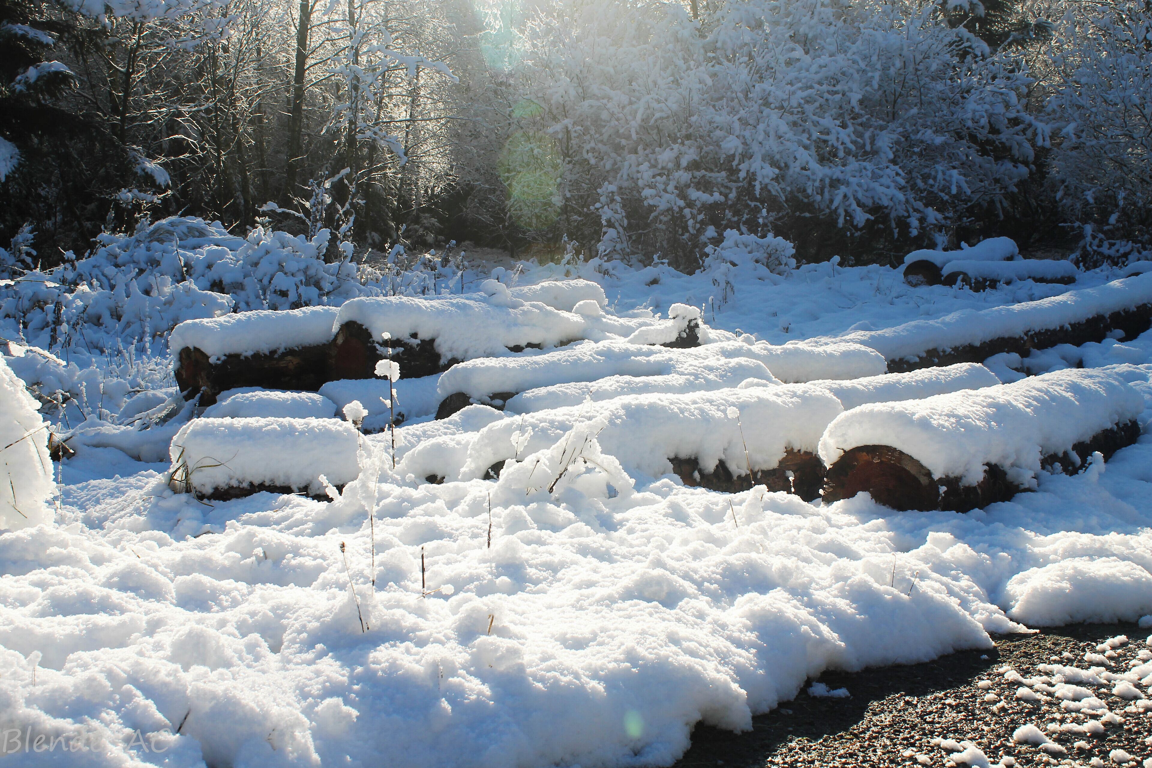 Holz vom Schnee bedeckt