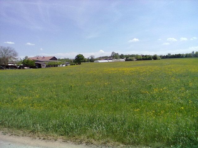 Wiesen und Aussiedlerhof bei Murr