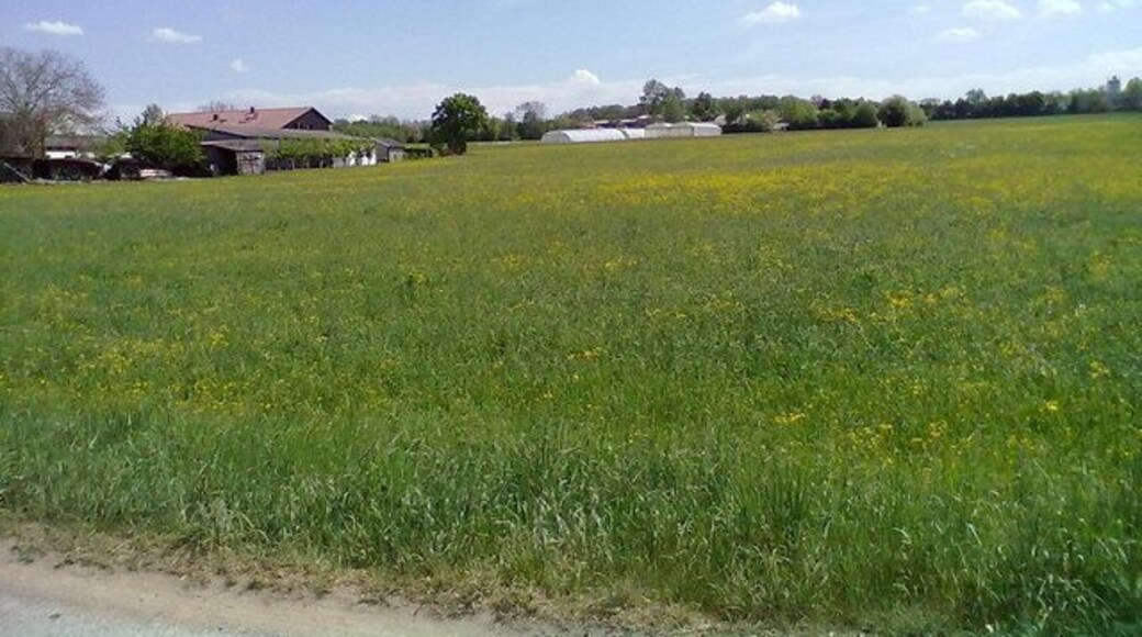 Wiesen und Aussiedlerhof bei Murr