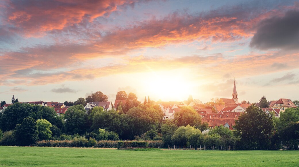 Un coucher de soleil sur une ville, avec le clocher d’une église imposante qui la domine, le tout entouré d’une végétation luxuriante et de bâtiments résidentiels.
