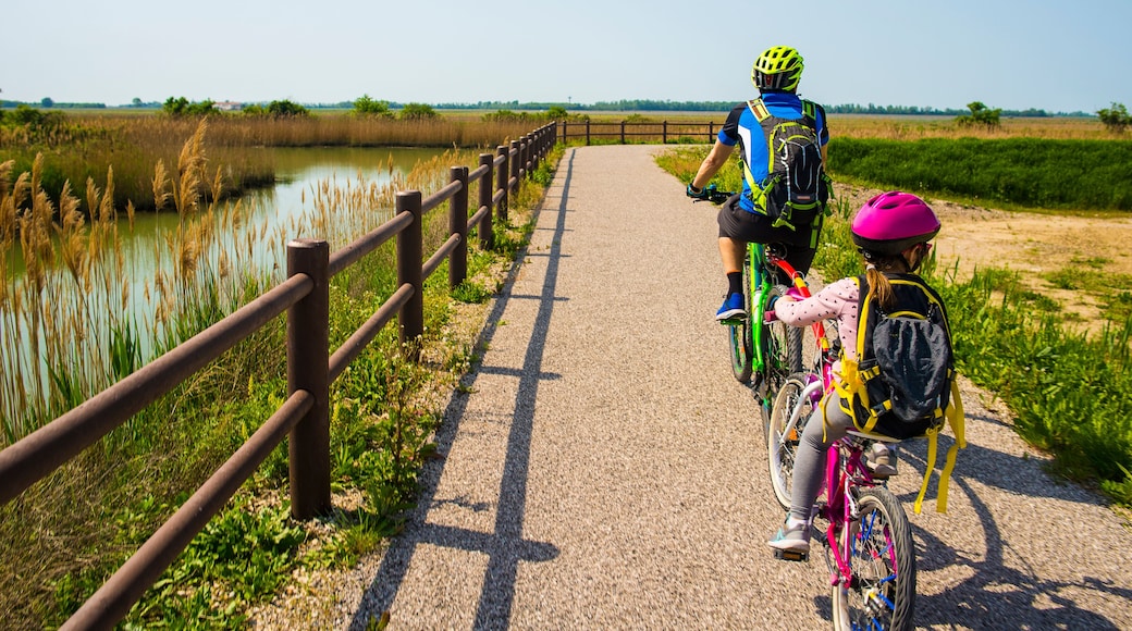 Father and daughter tandem going in bicycle. The bike itinerary FVG2 of Grado city, Friuli Venezia Giulia, region of Italy. Family, education, recreation and sport concept.