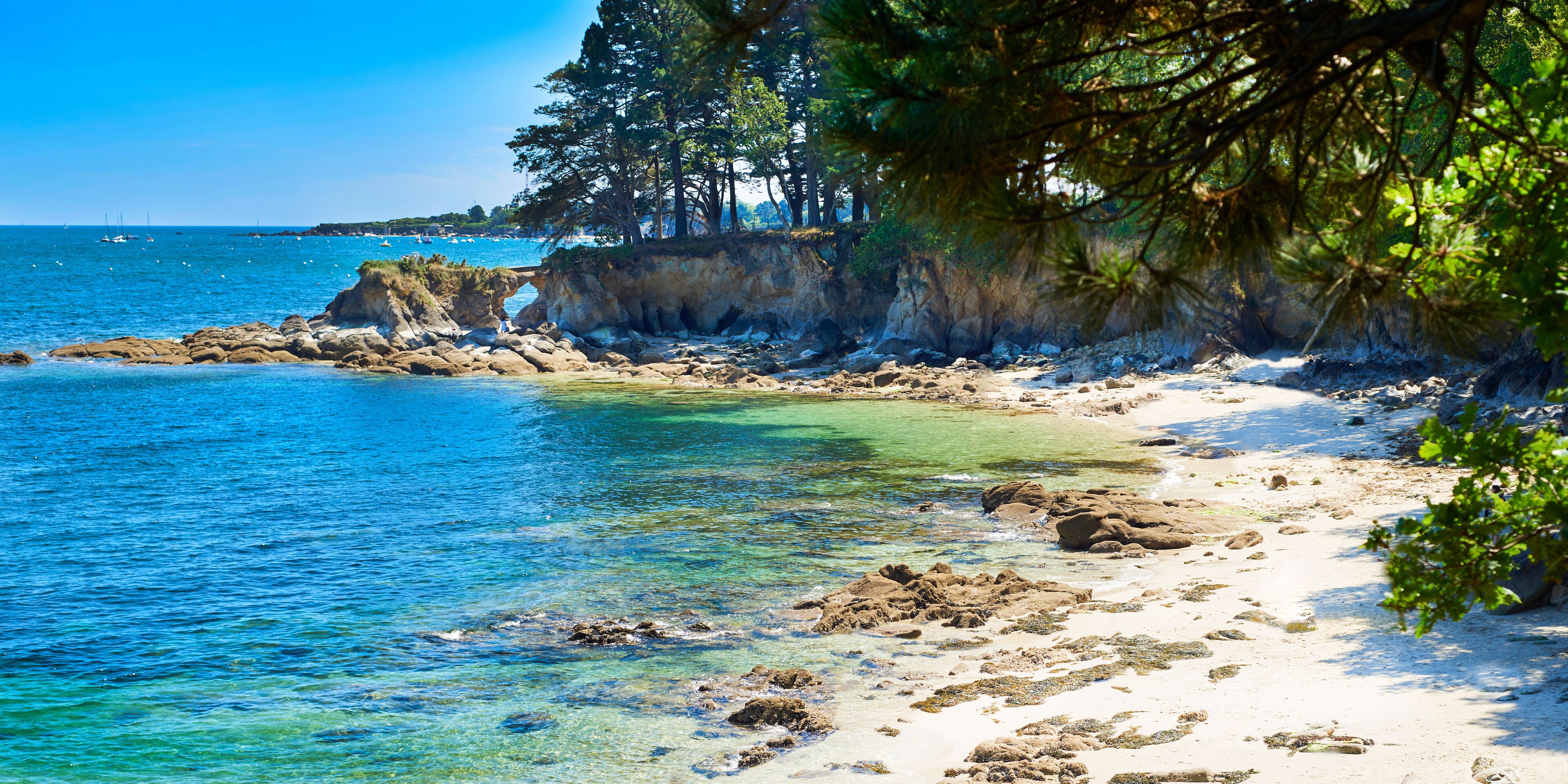 A coastal landscape with clear turquoise waters, rocky shorelines, and dense pine trees.