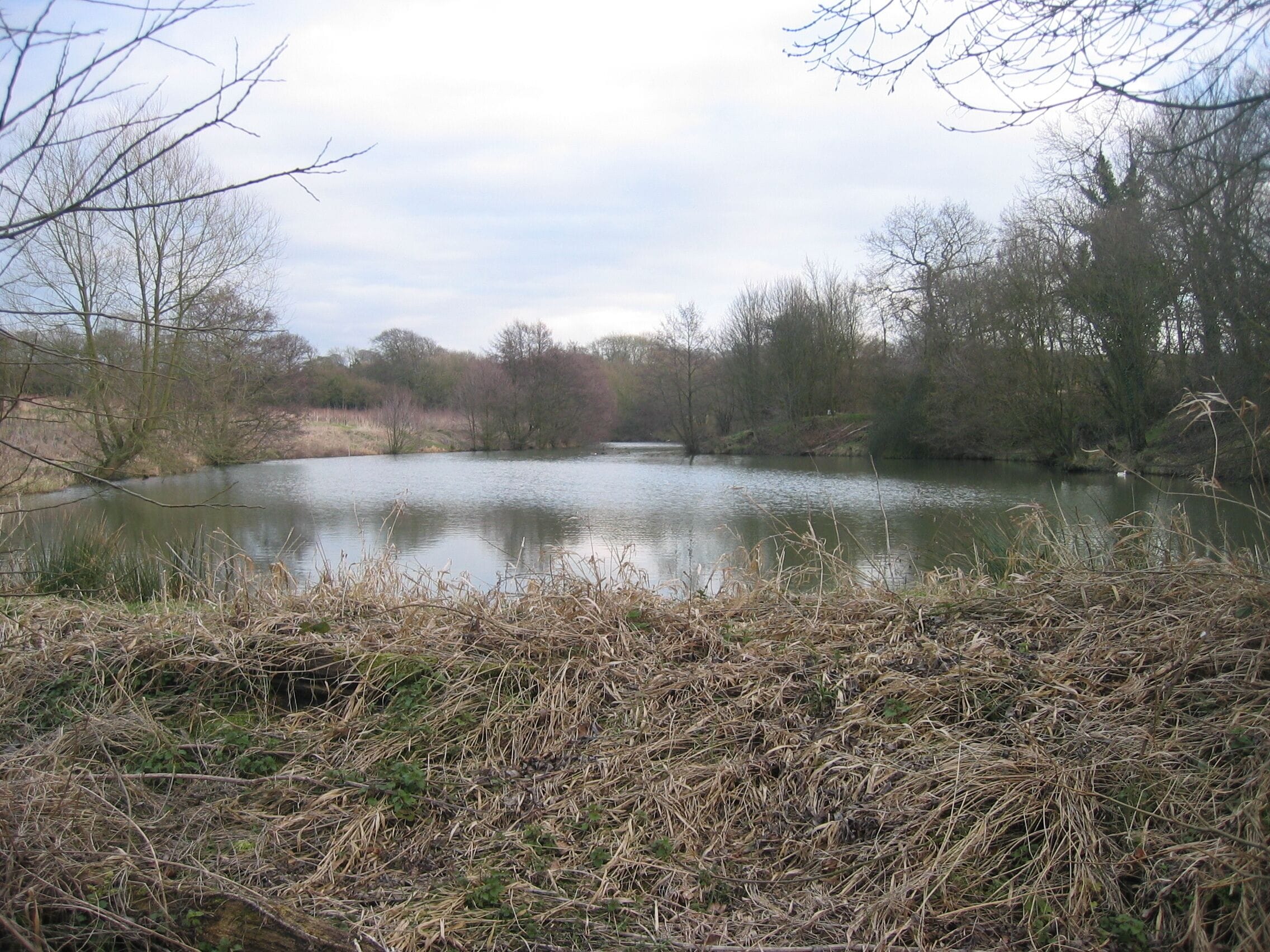 Hartshorne Dams