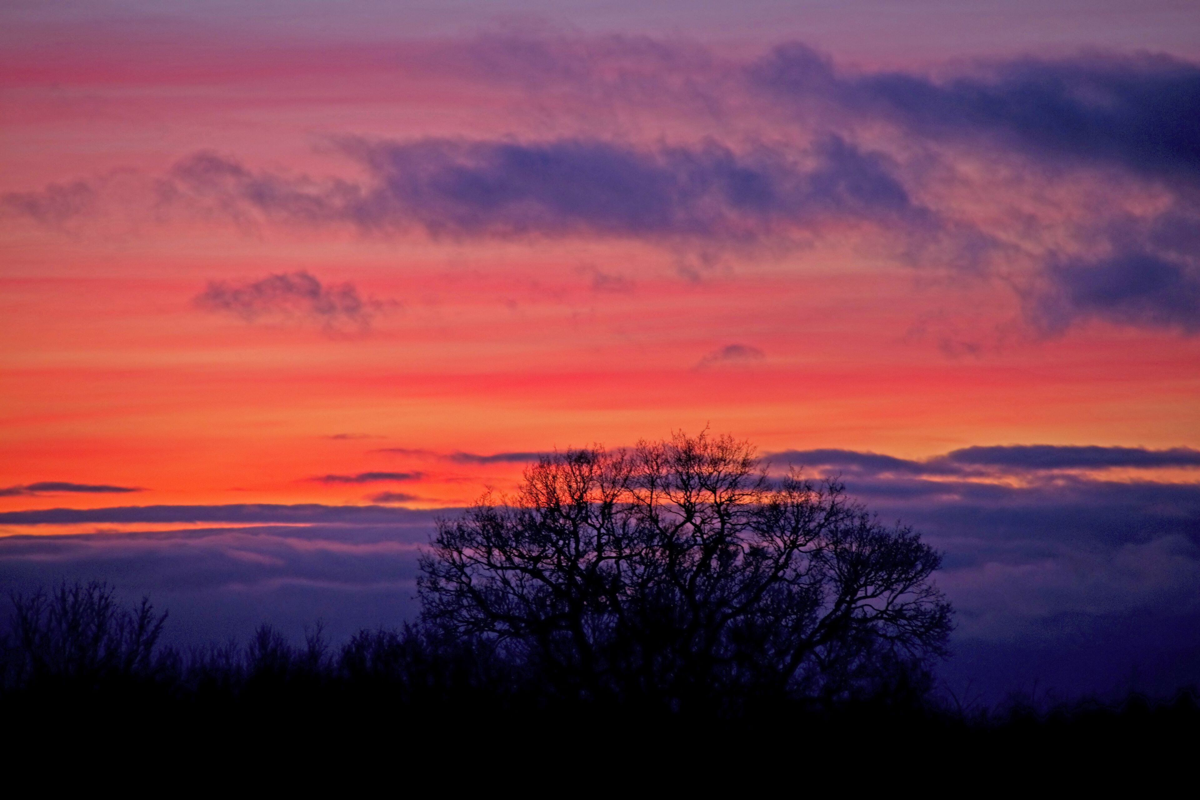 Driving home down the A42, I just had to turn off and get a quick picture of the sunset. Its a pity there wasn't a more interesting foreground