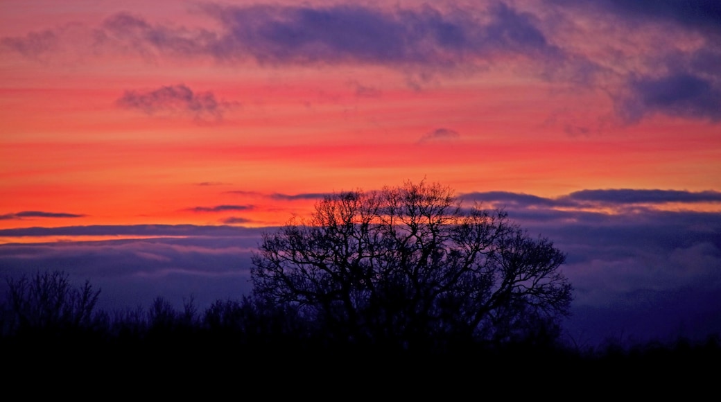 Driving home down the A42, I just had to turn off and get a quick picture of the sunset. Its a pity there wasn't a more interesting foreground