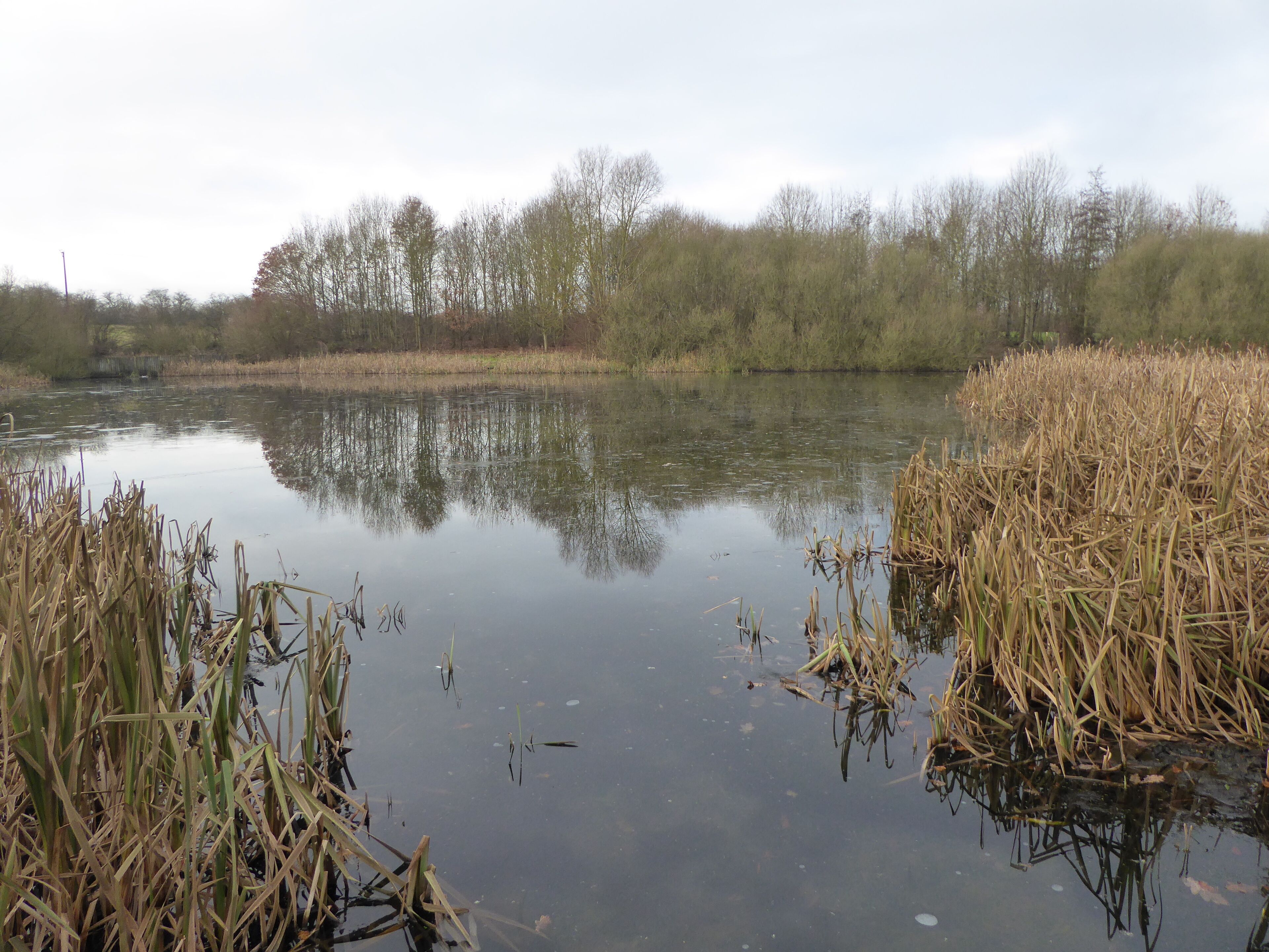 Saltersford Wood or Saltersford Valley is a Local Nature Reserves north of Oakthorpe in Leicestershire.