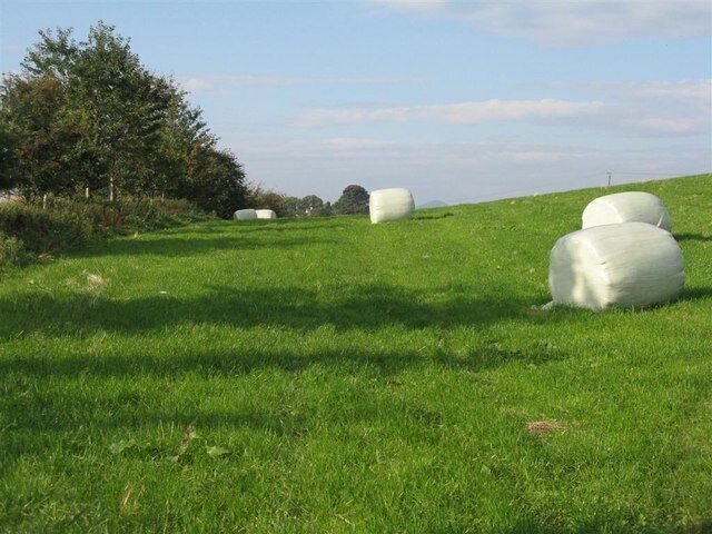 Silage near Loanhead
