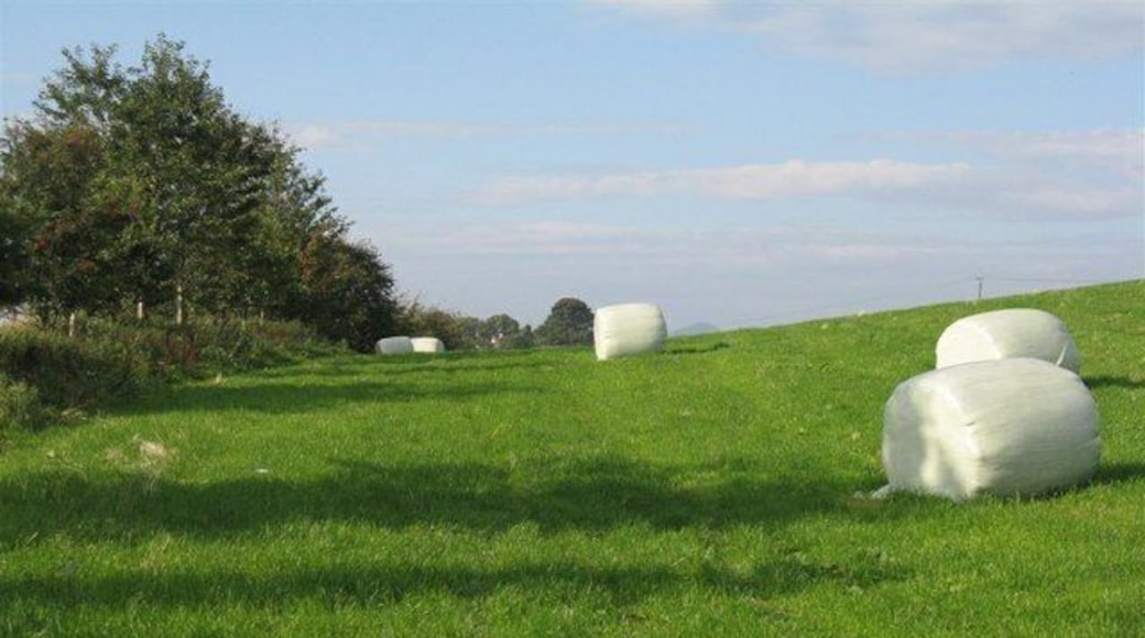 Silage near Loanhead