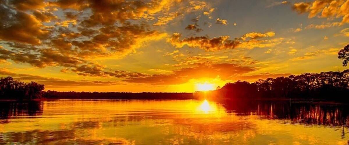 Winter in Florida #Golden