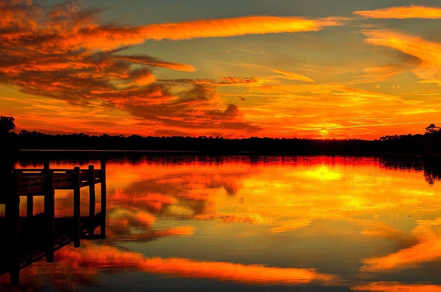 Christmas Day in Florida #reflections 