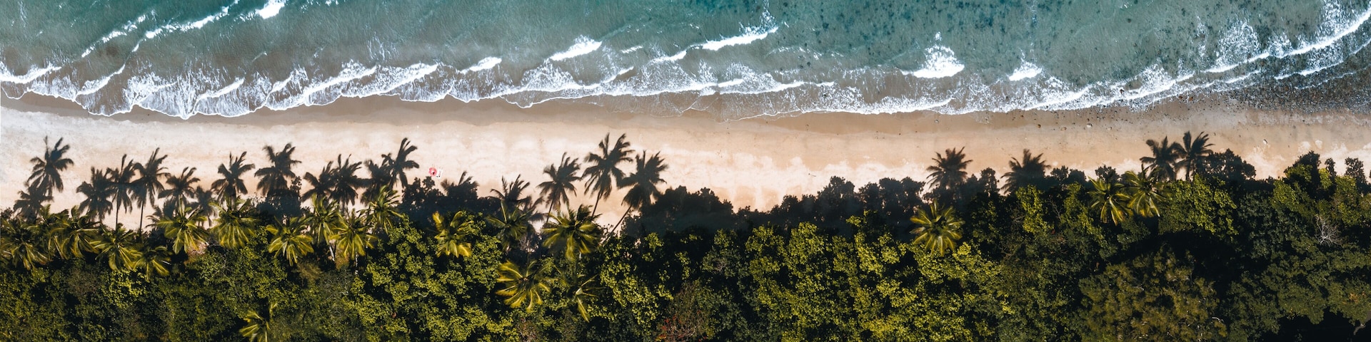 Vista aérea de una playa con olas, orilla arenosa y una hilera de palmeras.