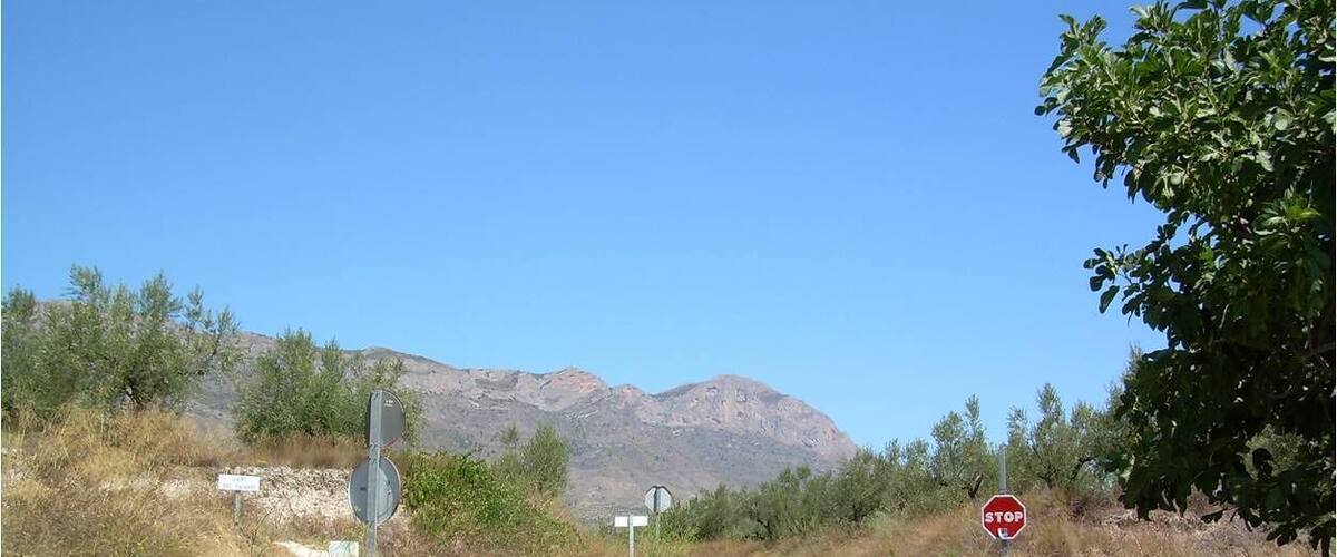 A rural road with a stop sign, a yield sign, and mountains in the background.