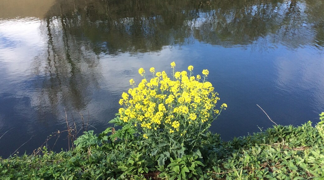 Pretty colours by the water