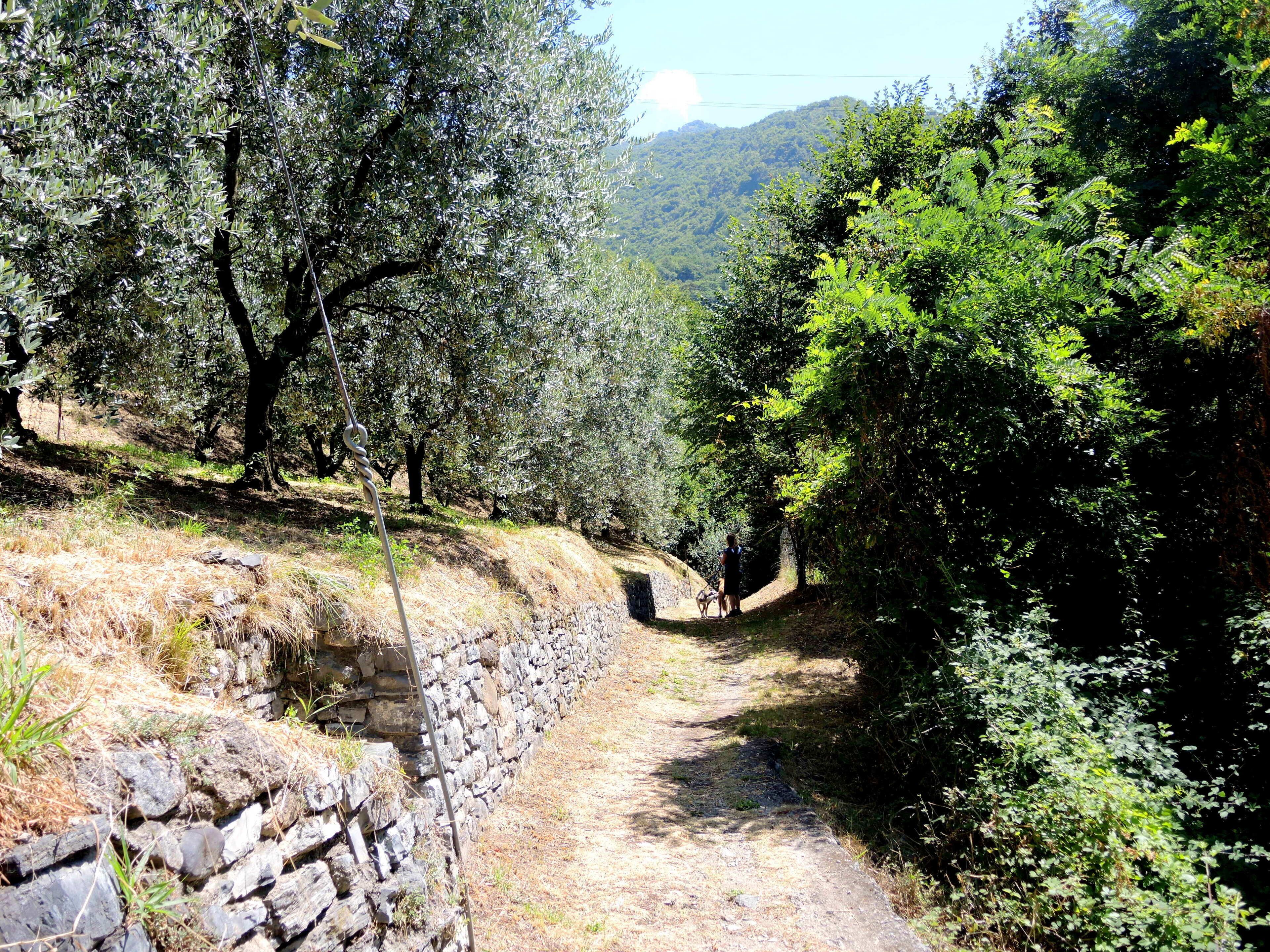 23828 Perledo, Province of Lecco, Italy