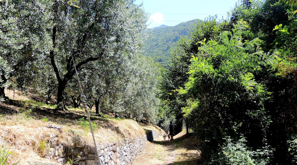 23828 Perledo, Province of Lecco, Italy