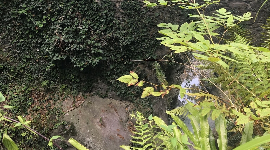 There is a tiny restaurant built into a ravine overlooking a waterfall and natural pools, which serves traditional local polenta with various toppings such as Italian sausage, local cheeses, ribs, or sautéed mushrooms. The setting is magical and the food is delicious. Makes for a great hike from Varenna for lunch, then continue up the hill to Castello DI Vezio for unbeatable views of the lake.