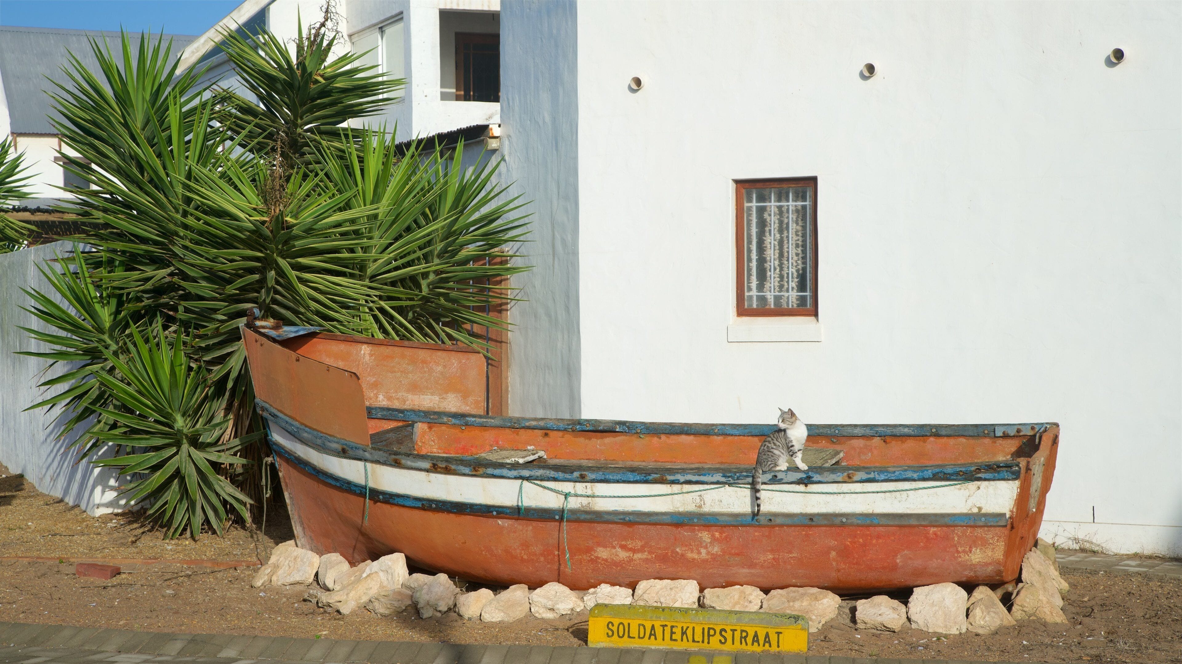 Paternoster montrant animaux domestiques ou inoffensifs et signalisation