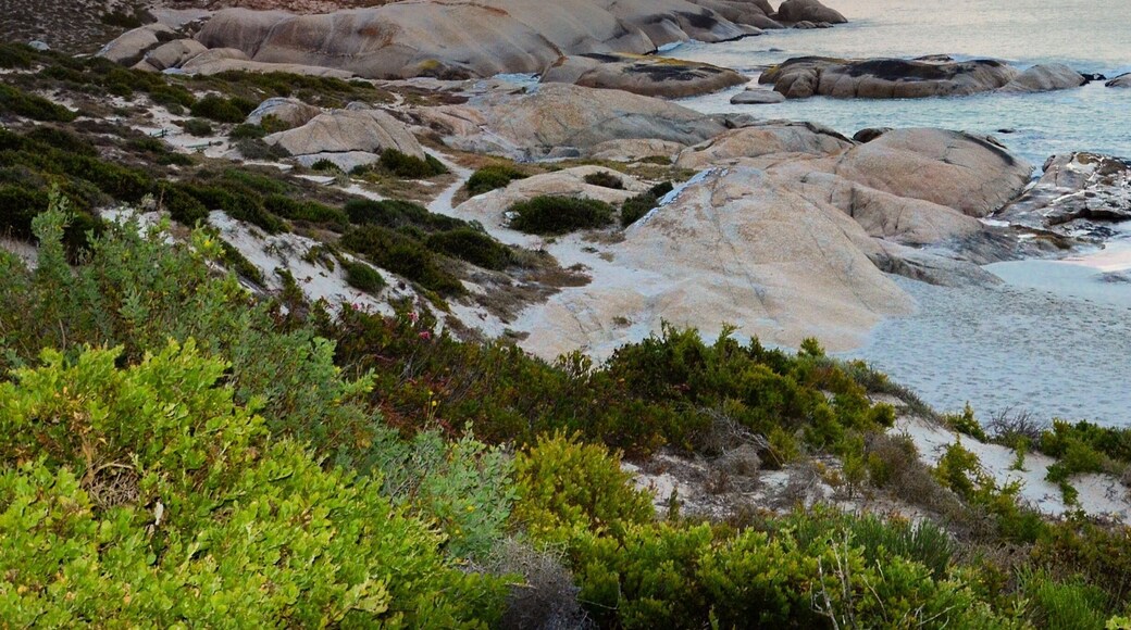 Amazing sunsets off the beach at Paternoster. This fishing village was one of the first places the Dutch explorers reached after the Atlantic storms - it is said they reached the sands and prayed to Our Father or Paternoster