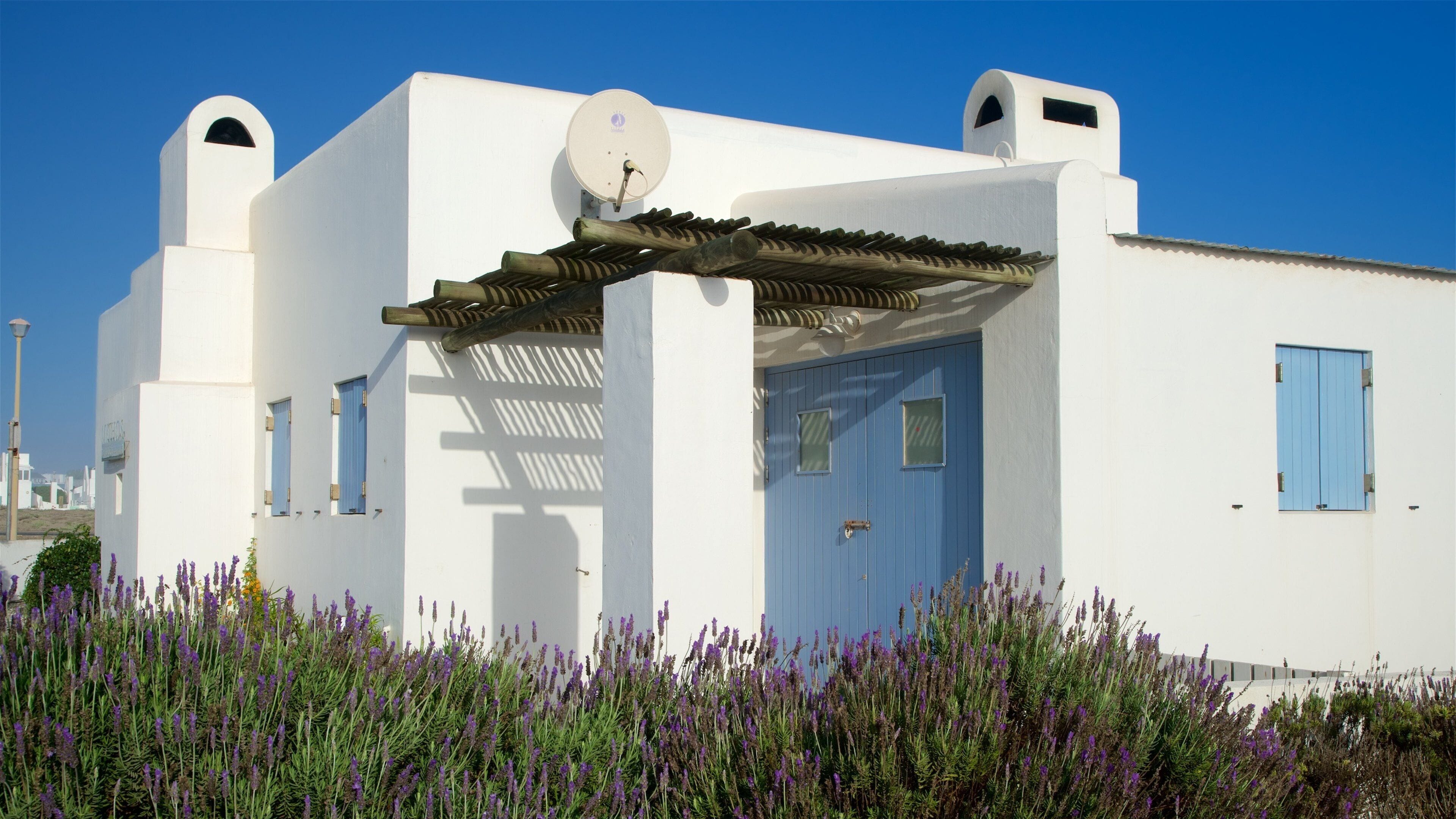 Paternoster mettant en vedette fleurs sauvages et maison