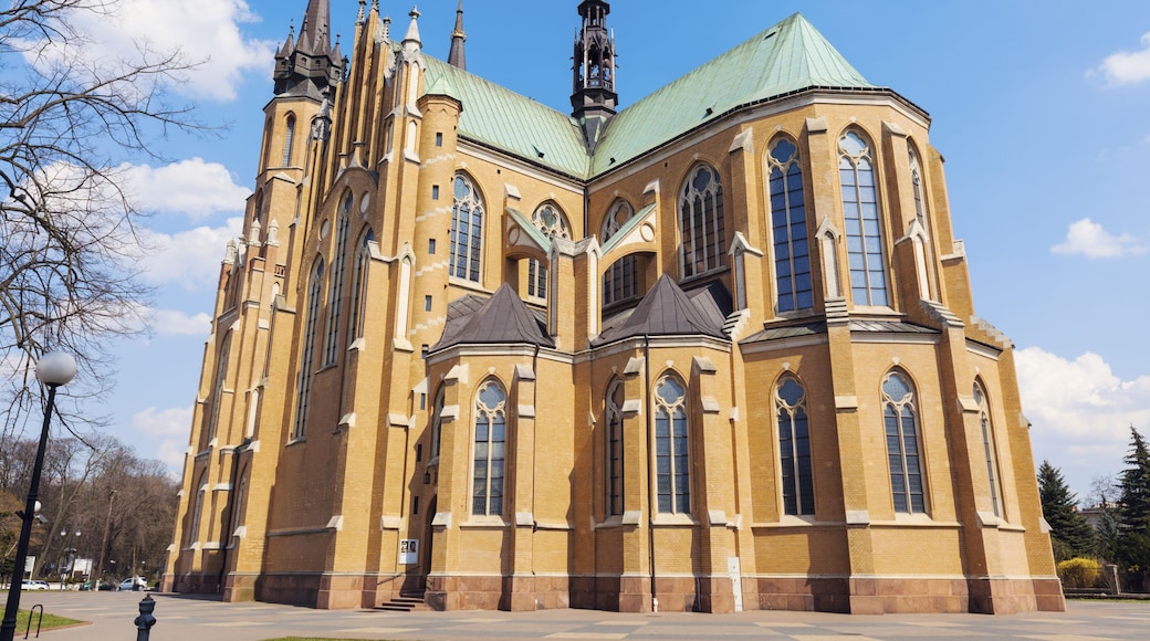Cathedral of the Protection of the Blessed Virgin Mary in Radom