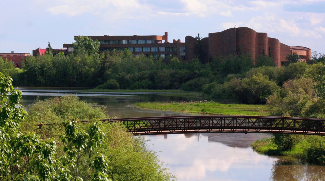 Politècnica del Nord-oest