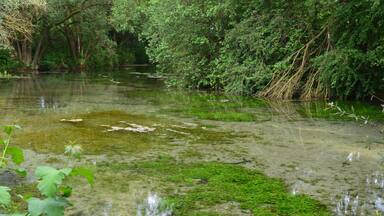 Der Quelltopf der Salza zwischen ihren Quellen „Salzaspring“ und „Euter“
