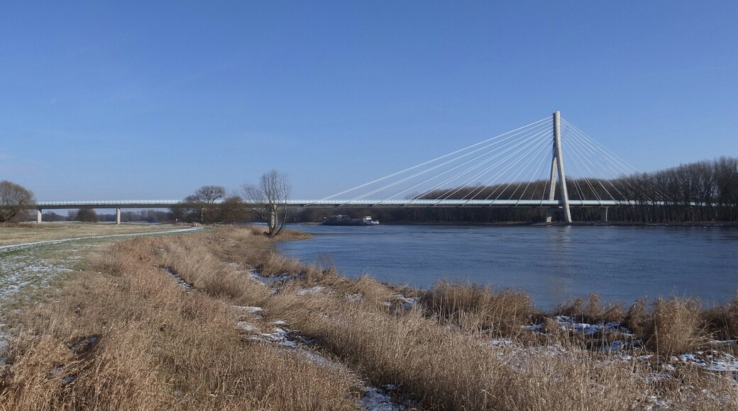 Schönebecker Elbauenbrücke