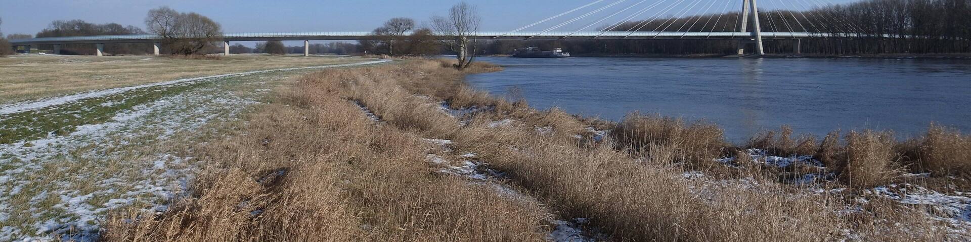 Schönebecker Elbauenbrücke