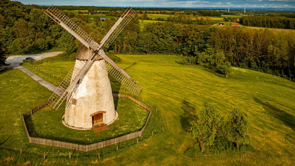 A traditional windmill surrounded by lush green fields and trees.