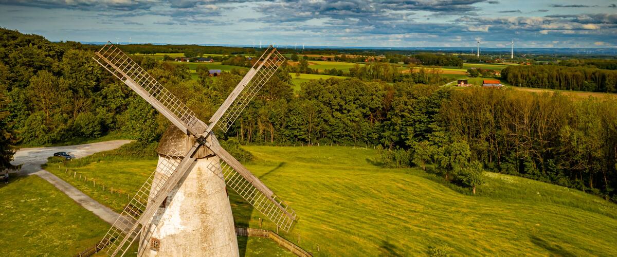 A traditional windmill surrounded by lush green fields and trees.
