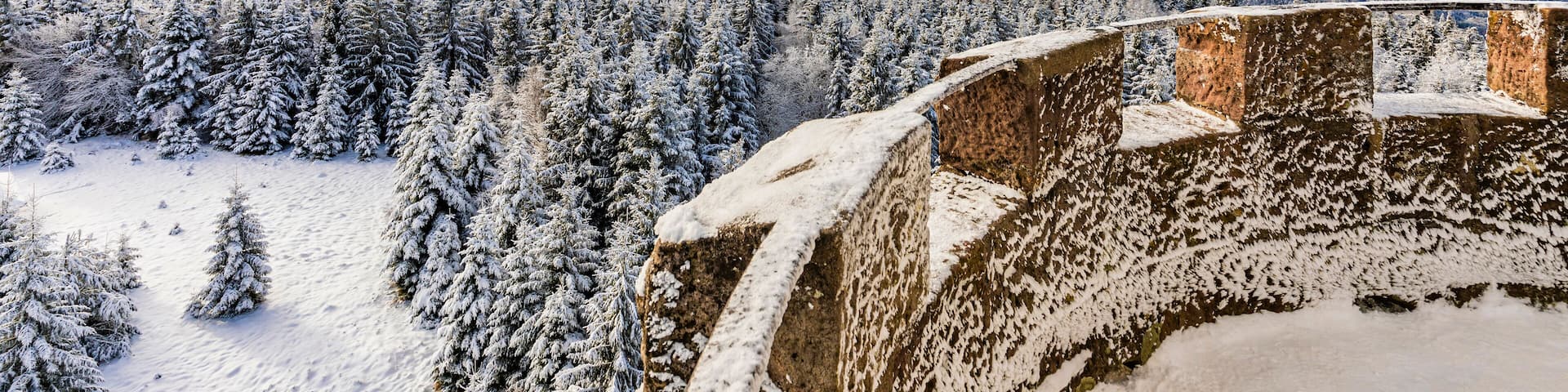 Winter view from Hohlohturm tower over snowy Black Forest in Baden-Wuerttemberg, Germany.